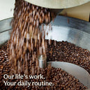 Don Francisco's Hawaiian Hazelnut Coffee Pods, Medium Roast, 55ct